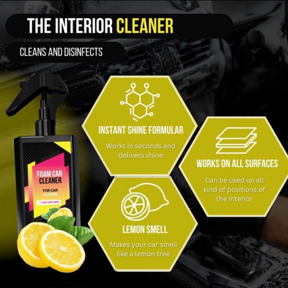 PlatinumShield-X Coating Spray & Foam Cleaner Combo