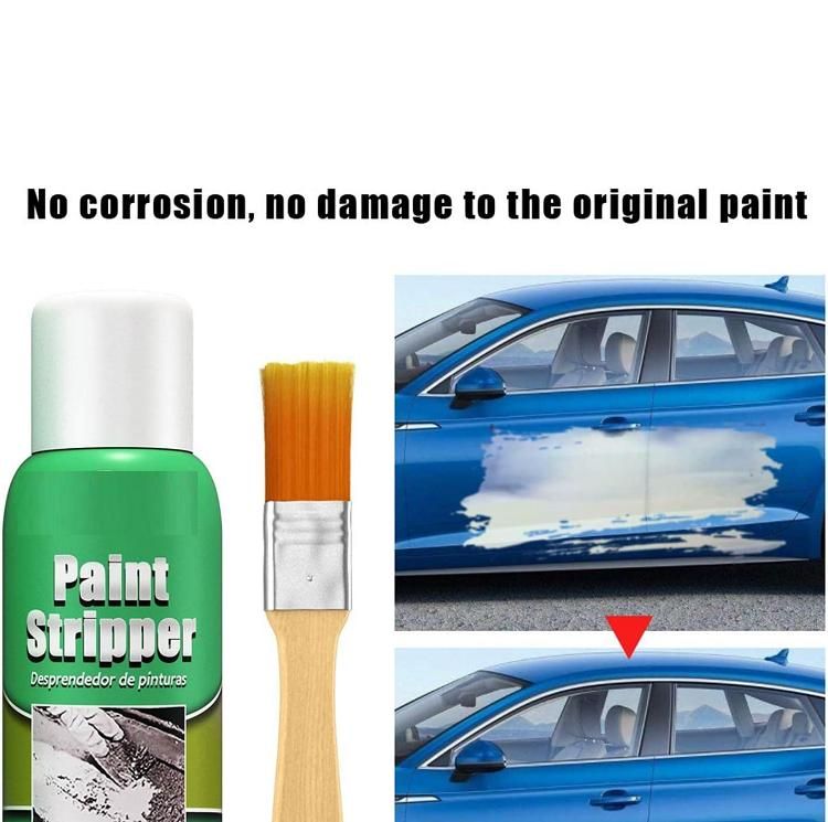 Paint Stripper 100ml Pack of 1