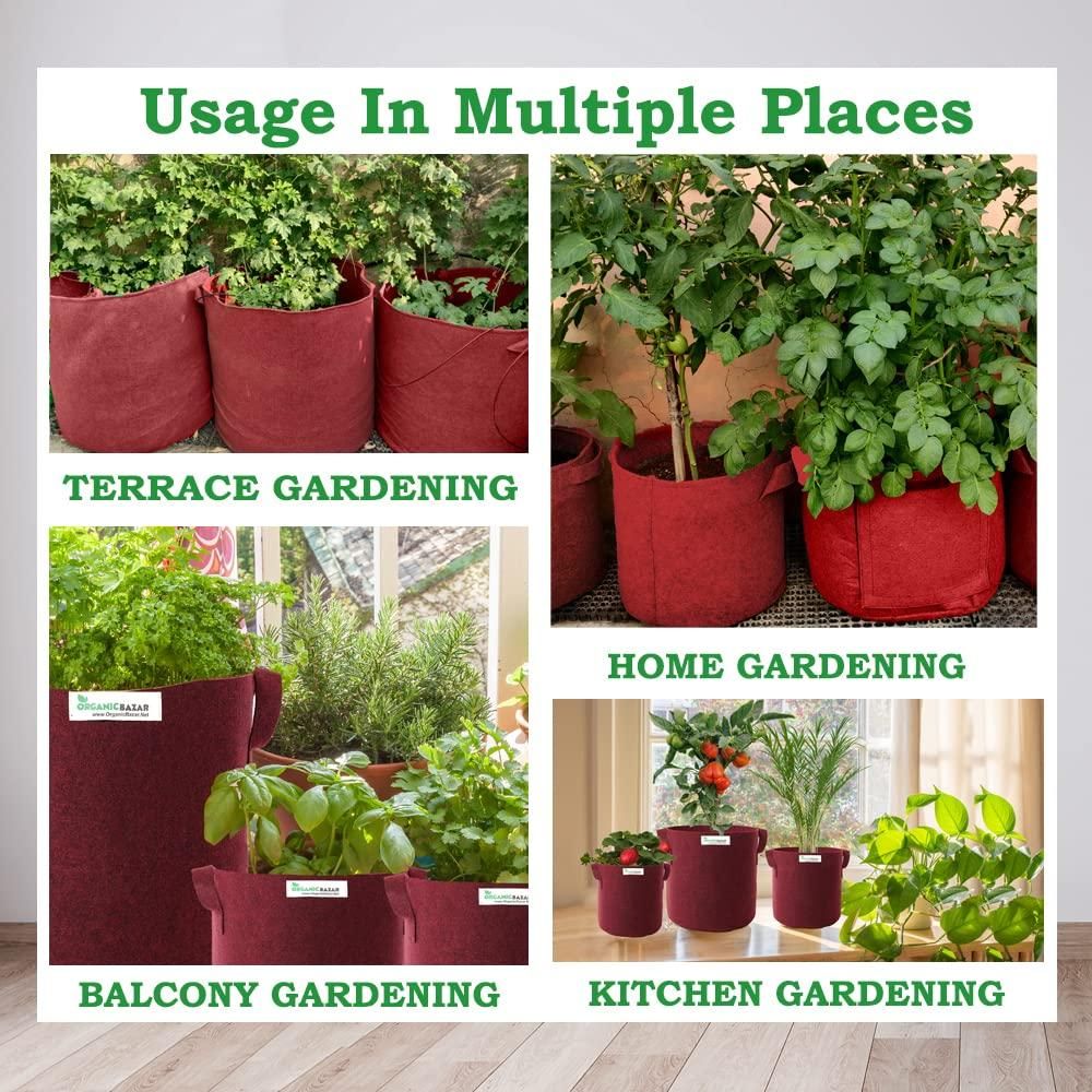 Tulsi Plant Grow Bag for Home/Gardening