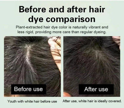 Japanese Long Lasting Natural Hair Dye Shampoo ( Buy 1 Get 1 Free )🔥🔥